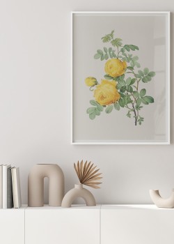 Κίτρινα Τριαντάφυλλα