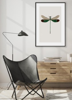 Πράσινη Λιβελούλα