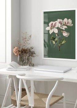 Λουλούδια σε πράσινο φόντο