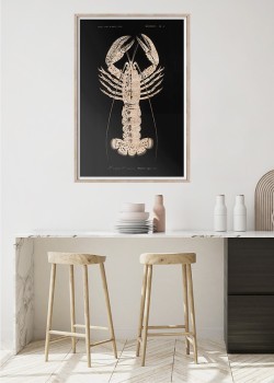 Αστραφτερή καραβίδα