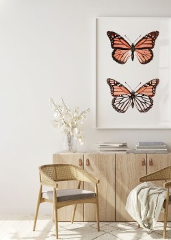 Πεταλούδα Μονάρχης