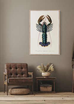 Μπλε Καραβίδα