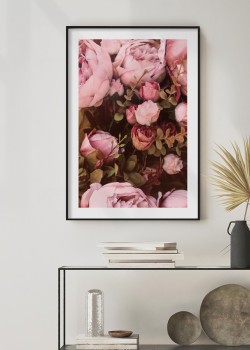 Ανθισμένα Τριαντάφυλλα