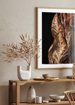 Φύλλα πρωτέας