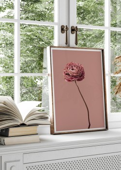 Μαραμένο τριαντάφυλλο