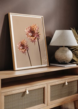 Ξερά Λουλούδια