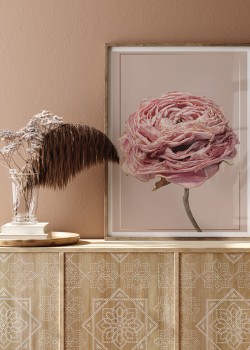 Romantic Antike Roses