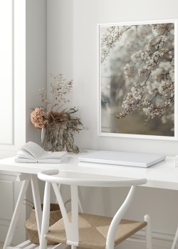 Κλαδιά αμυγδαλιάς