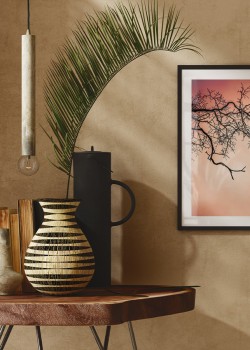 Κλαδί δέντρου στο ηλιοβασίλεμα