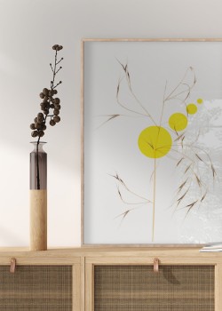 Άγρια βρώμη