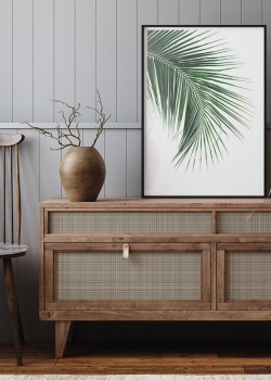 Φύλλο φοίνικα