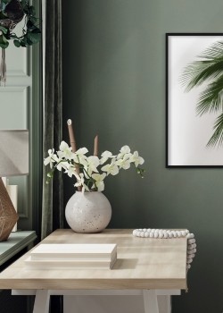 Πράσινος φοίνικας