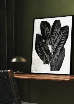 Μαύρα φύλλα