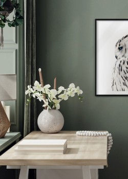 Λευκή Κουκουβάγια