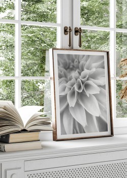 Άσπρο λουλούδι