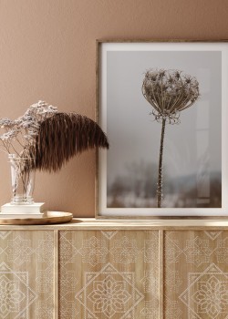 Φυτό Ηράκλειον