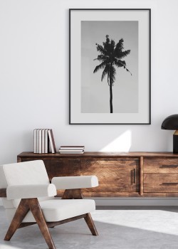 Φοίνικας σε ασπρόμαυρο φόντο