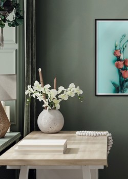 Ροζ τριαντάφυλλα με μπουμπούκια