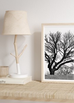 Ξερό δέντρο