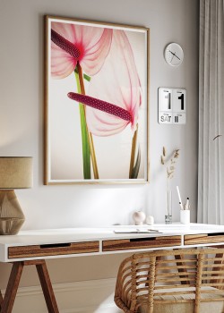 Άνθη ανθούριου