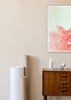 Δέντρο με ροζ φύλλα