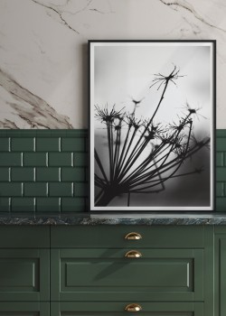 Ξερό ποώδες φυτό