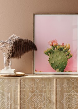 Κάκτος με άνθη