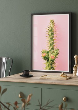 Ψηλός κάκτος με άνθη