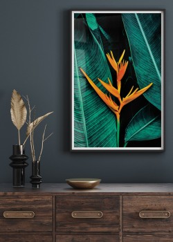 Τροπικό λουλούδι