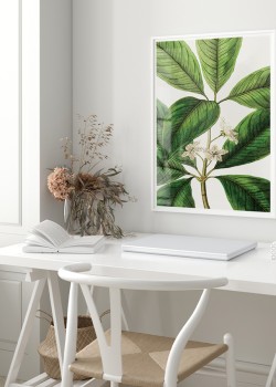 Καταπράσινο φυτό