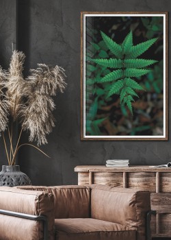 Τροπική φτέρη