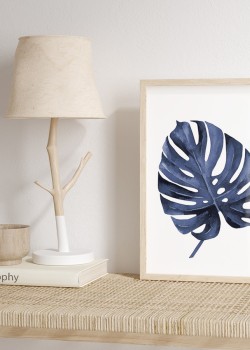 Blue Monstera