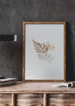 Χρυσή Φτέρη