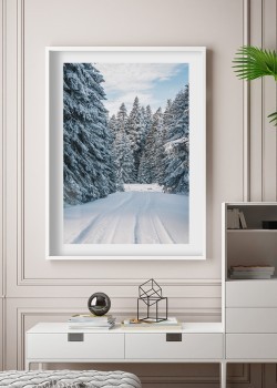 Χιονισμένος δρόμος