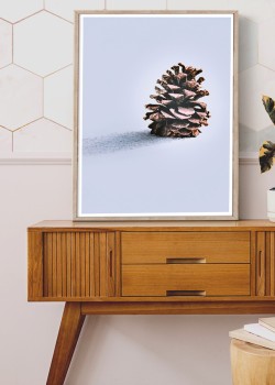 Κουκουνάρι στα χιόνια