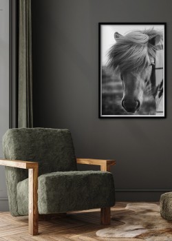 Άλογο με πλούσια Χαίτη