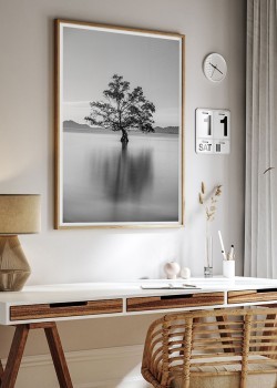 Δέντρο στο κέντρο της λίμνης