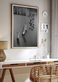 Κορμοί και καλαμιές στην λίμνη