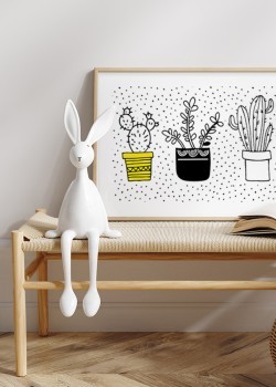 Φυτά σε γλαστράκια