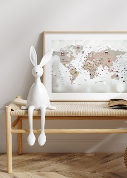 Παγκόσμιος χάρτης με σημαίες