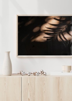 Σκιά κλαδιού