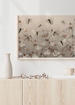 Πεταλούδες στο Λιβάδι