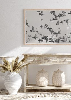 Σμήνος με περιστέρια