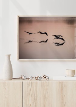 Πουλιά στη δύση του Ηλίου