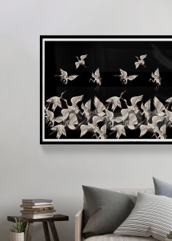 Άσπρες πάπιες