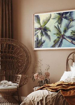 Φοινικόδεντρα