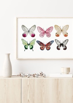 Πολύχρωμες Πεταλούδες