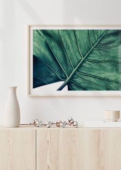 Πράσινο Φύλλο