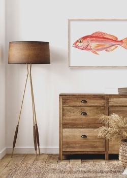 Κόκκινο ψάρι