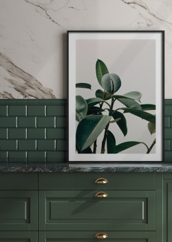 Φύλλα Πράσινα